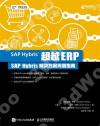 超越ERP：SAP Hybris解決方案簡明指南